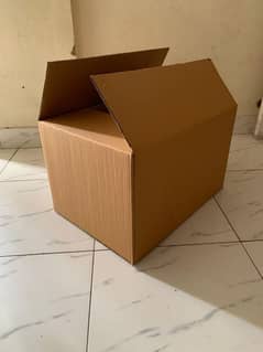 Carton Box/Shoe Box/Packaging Moving Box/Corrugated Box Manufacturer