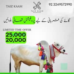 Qasai Butcher professional
