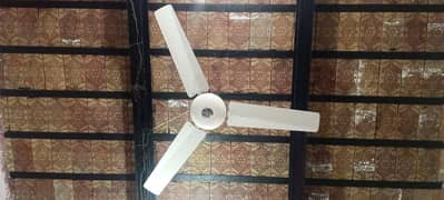 Sufi fan