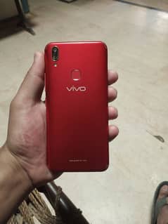 Vivo