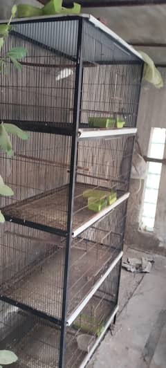 cage