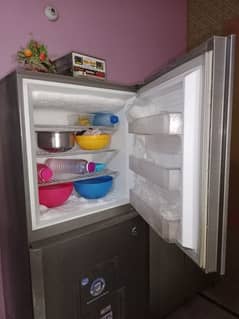 Pel jumbo size fridge