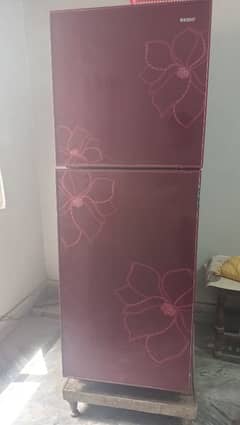 Orient (5554 Glass Door)