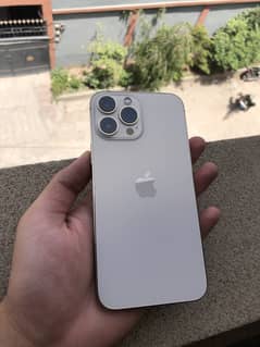 13 pro max