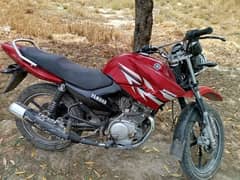 bike nice condition