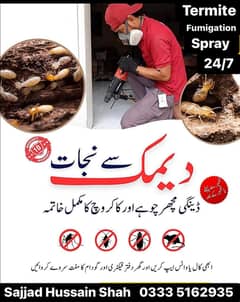 Termite/Pest