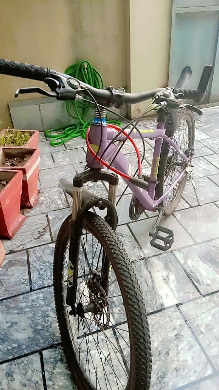 Benzor cycle m230 condition 10/9 1