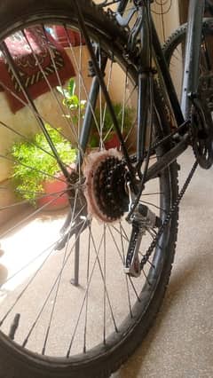 bicycle
