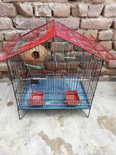 Birds Cage