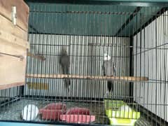 Breeding