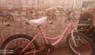 Baby