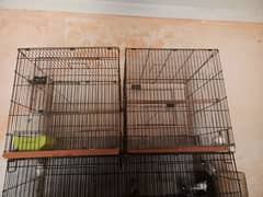 cages
