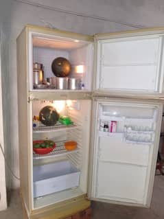 Pel 6300 Refrigerator