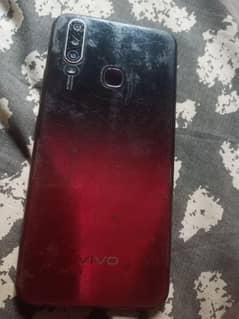 vivo