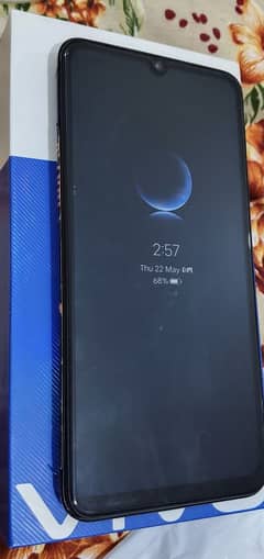 Vivo