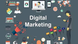 Digital Marketing Expert (Meta, Google, SC, TikTok)