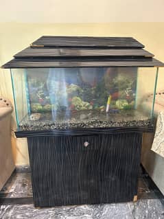 FISH