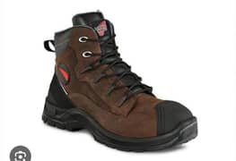 Redwing