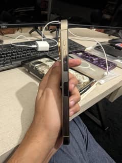 i phone 14 pro max golden