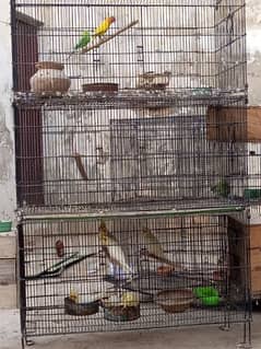 8 portion folding cage for sale