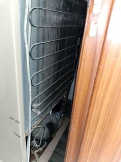 pel refrigerator