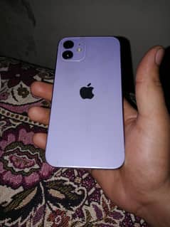 iphone 12 factory
