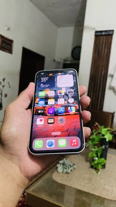 Iphone 12 64gb dual pta approved