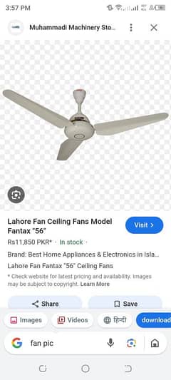 fan