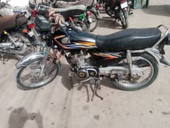 03062335204. rapta