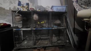 six portion cage