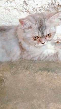 FOR
