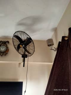 fan