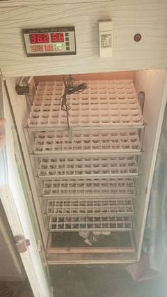 528 eggs incubater 400 eggs hatcher 3 brooder 10 by 09 condition