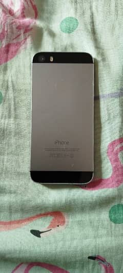 iPhone 5s