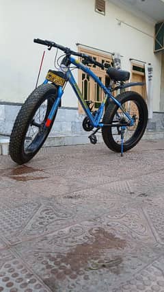 fat cycle