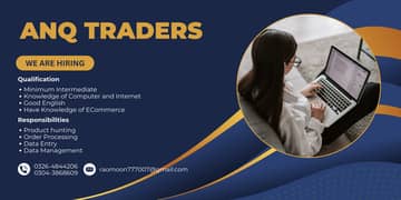 Data Entry Operator (Walmart, Ebay) (09:00AM to 03:00PM) Female Only