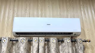 Haier