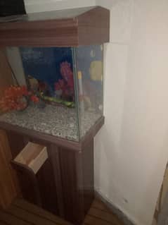 Aquarium