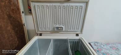 waves deep freezer