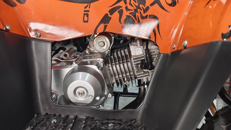 110cc Latest Mini Sports Raptor Atv Quad Bikes Delivery In All Pak 5