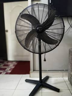 Pak Fan Pedestal Fan