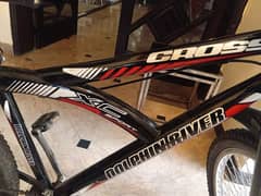 dolphin river cross XC sport 26 inch cycle