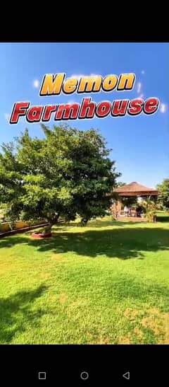 Land Best For Cattle Farm Goat Farm Dairy Farm Farm House