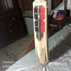 hard ball bat kashmiri willow small damage