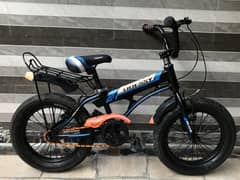Odessy Bicycle (Fat Tyre)