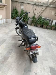 Unique CD-70 2022