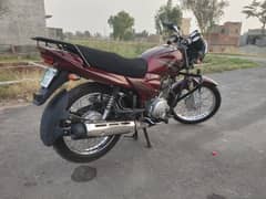 ybz 2019 model