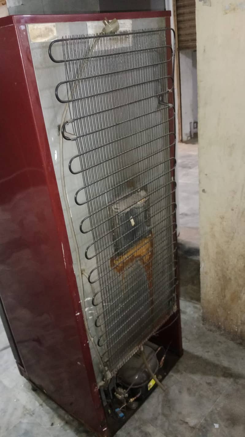 Pell Fridge Medium size | Refrigerators 2