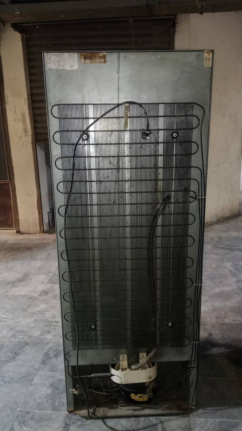 Pell Fridge Medium size | Refrigerators 4