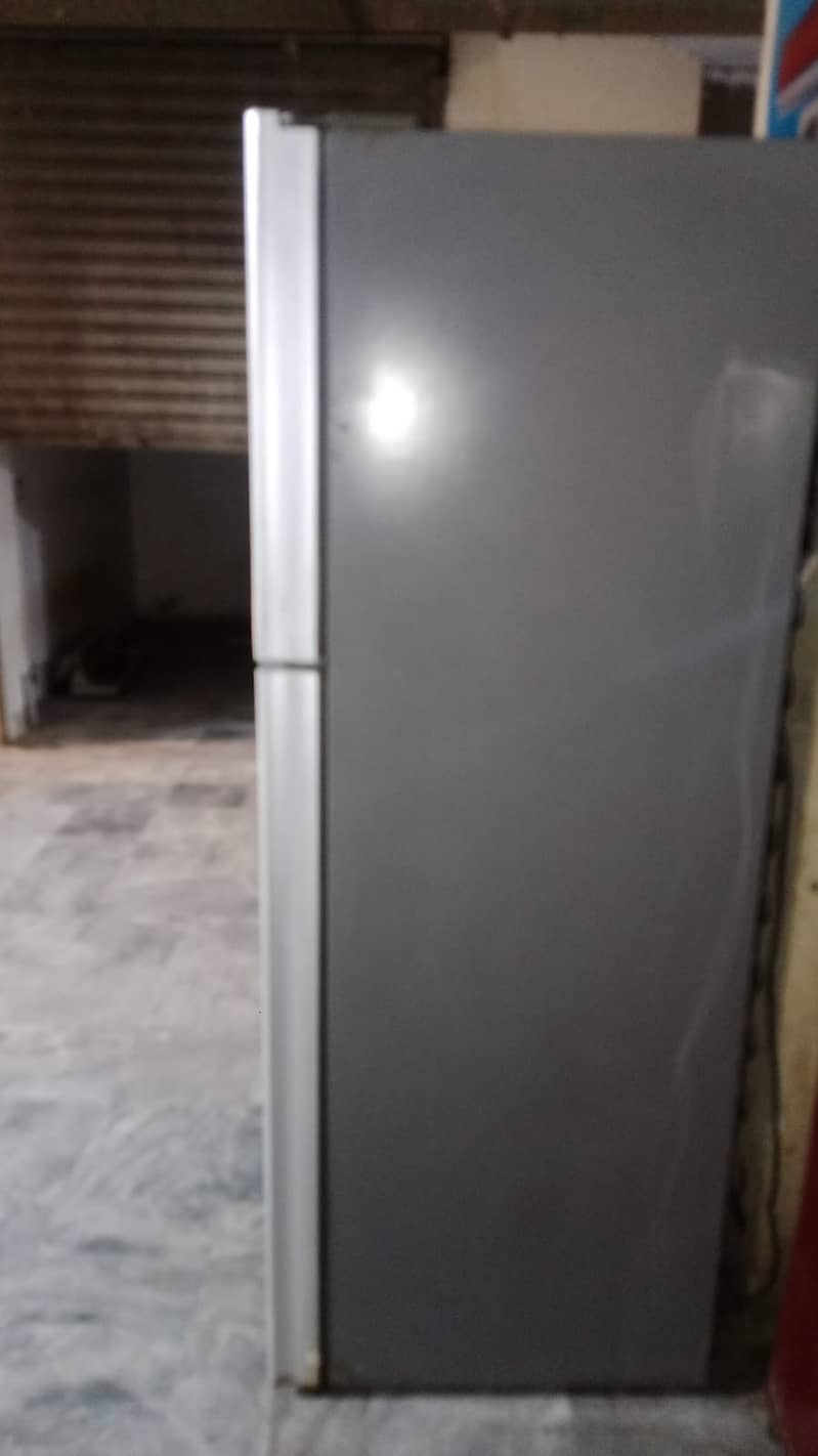 Pell Fridge Medium size | Refrigerators 5